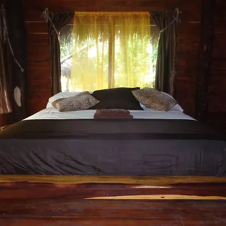 Casa Mango-2